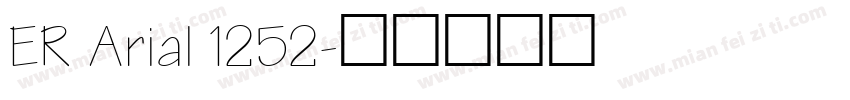 ER Arial 1252字体转换